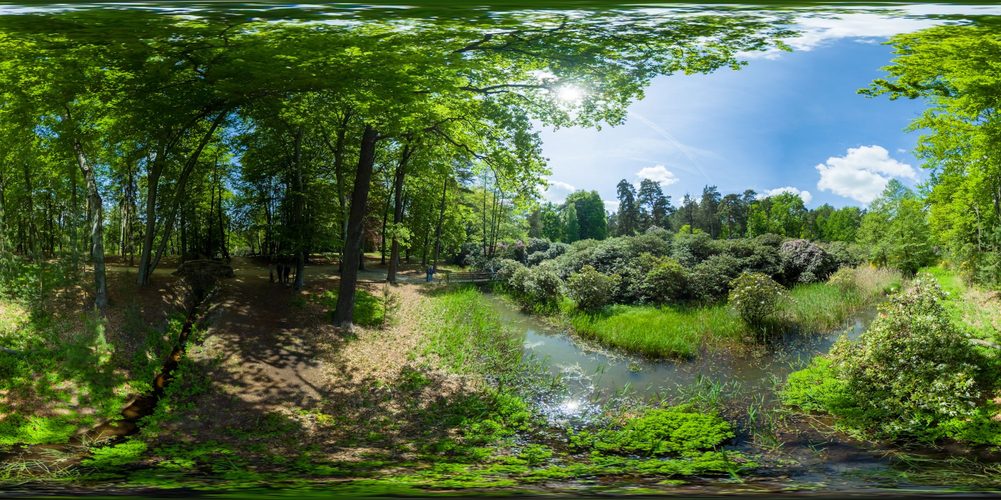 Rhododendronschlucht