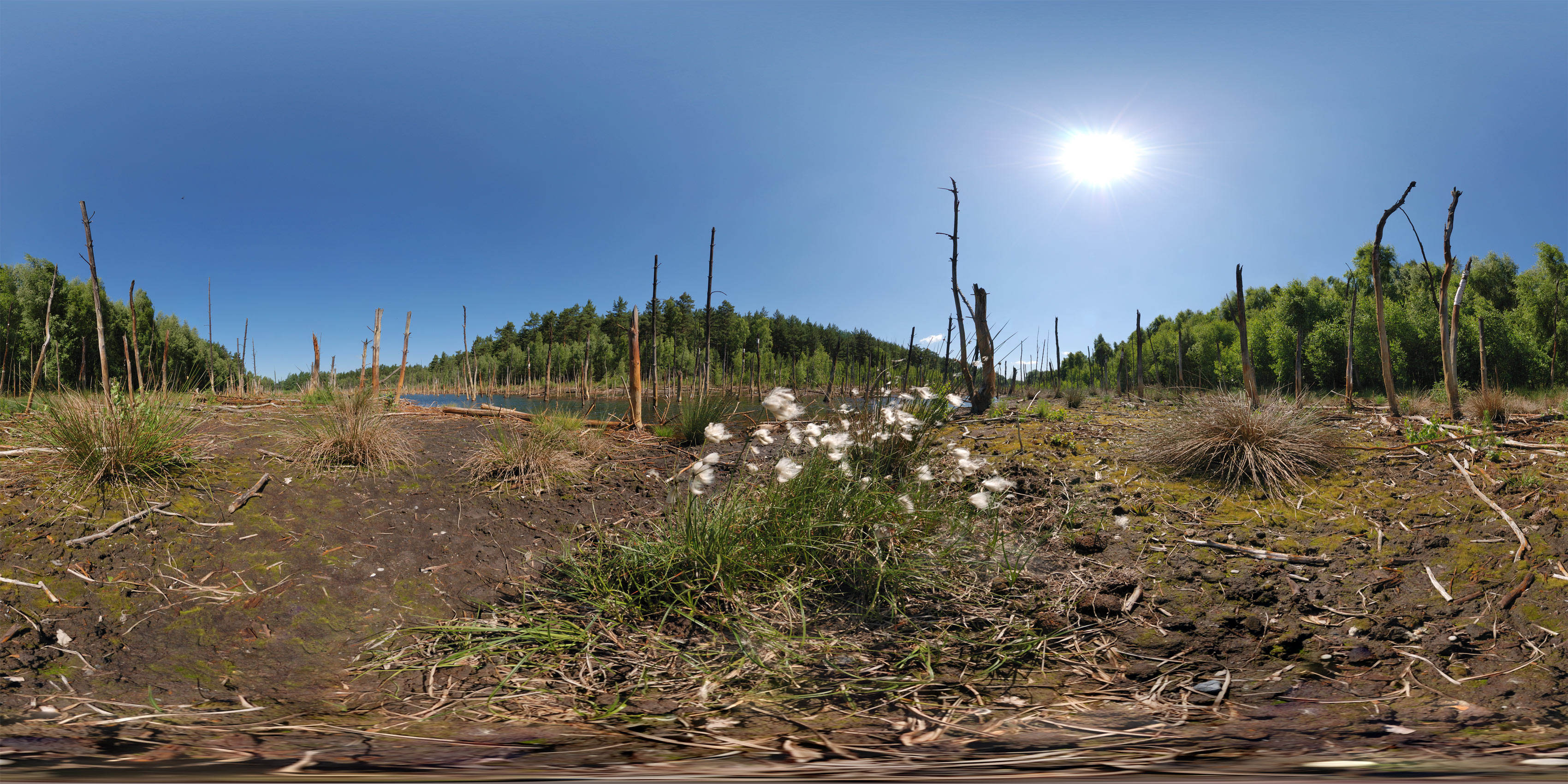 Großes Grubenloch 2